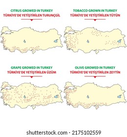 Mapa de la geografía económica de Turquía - Mapa de productos agrícolas cultivados en Turquía