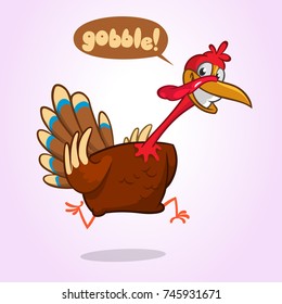 Turkey Escape Cartoon  Character. Thanksgiving Vector Illustration of running turkey Isolated