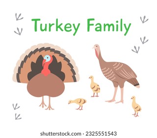 Turkey family, tom and hen with poults in different poses. Flat vector cartoon illustration. Isolated on white. Domestic farm livestock birds, poultry, male and female with offspring. Full length