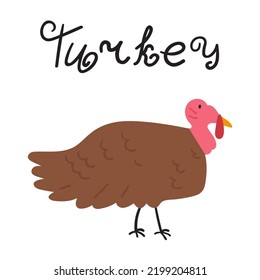 Turkey. Farm animal. Flat vector illustration on white background.