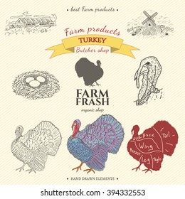 Turkey farm collection art set concept