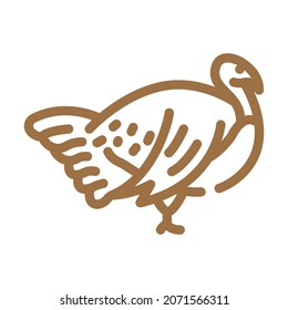 turkey farmland bird color icon vector. turkey farmland bird sign. isolated symbol illustration