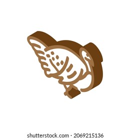 turkey farmland bird isometric icon vector. turkey farmland bird sign. isolated symbol illustration