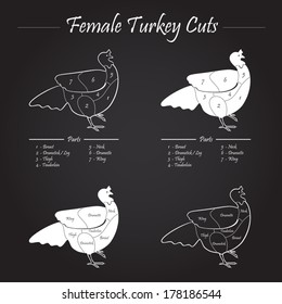 TURKEY FEMALE CUTS SCHEME - blackboard 