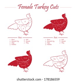 TURKEY FEMALE CUTS SCHEME - red on white