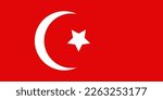 Turkey flag background vector illustration. National flag. Turkish national flag symbol of patriotism. Country flag icon.