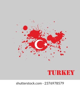 Turkey flag vector icon. abstract design