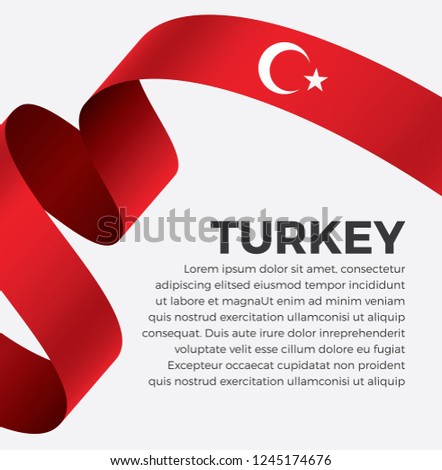 Turkey flag, vector illustration on a white background