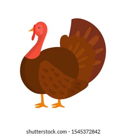 Turkey Flat Vector Illustration. Domestic Bird Breeding, Poultry Industry. Wildlife, Wild Nature Animal Isolated Clipart. Farming, Livestock Gobbler. American Thanksgiving Celebration Traditional Dish