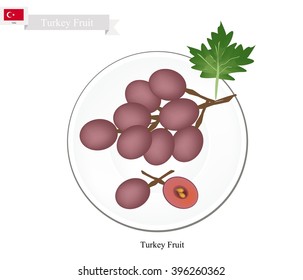 Turkey Fruit, Ripe and Sweet Grape. One of The Most Popular Fruits of Turkey.