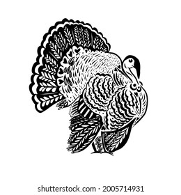 Turkey is a graphic object. Happy Thanksgiving. Vector illustration