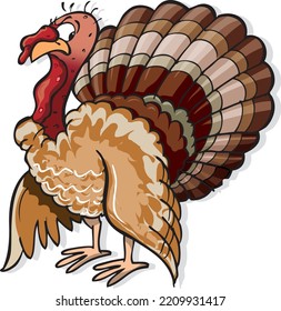 Turkey hand drawn illustration, elements. Badges and design elements for the turkeycock manufacturing. Vector illustration.