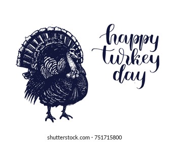 Turkey hand drawn Isolated vector illustration. Organic product for menu or packaging. Engraving. Thanksgiving day, happy turkey day