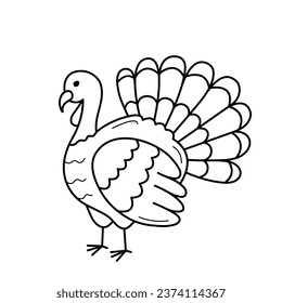 Turkey. Hand drawn sketch icon of domestic bird. Isolated vector illustration in doodle line style.