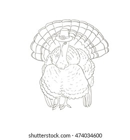 Turkey hat Thanksgiving. Hat separately from the turkey. Isolated.
Coloring. Dark outline with white fill. Hand drawn vector illustration.