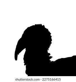 Turkey Head Silhouette for Art Illustration, Pictogram or Graphic Design Element. The Turkey is a large bird in the genus Meleagris. Vector Illustration