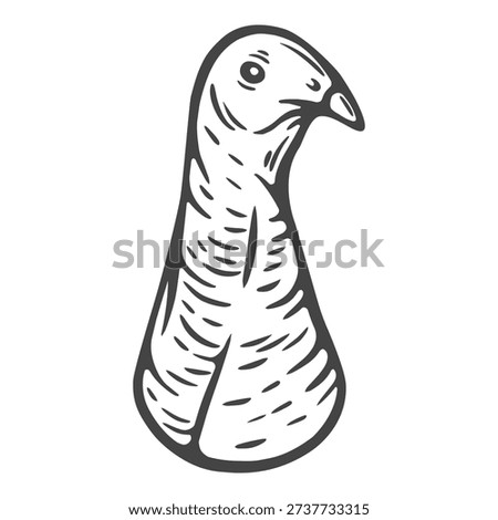 Turkey hen head, portrait, closeup bird engraving isolated