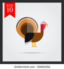 Turkey icon