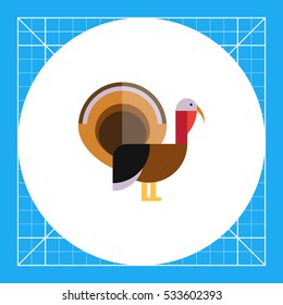 Turkey icon