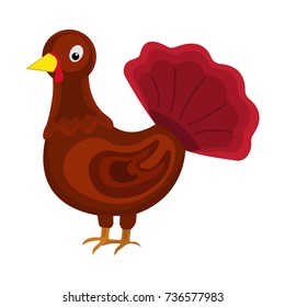 Turkey icon. Cartoon style. Vector Illustration for Thanksgiving Day.