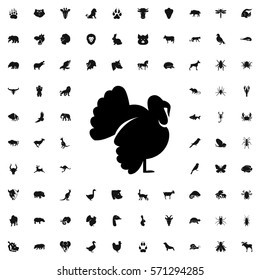 turkey icon illustration isolated vector sign symbol