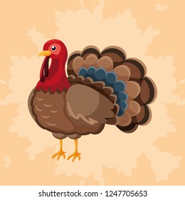 Turkey icon image