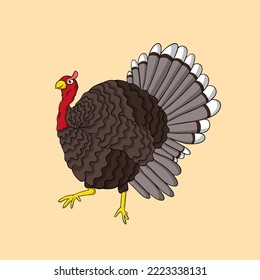 Turkey illustration hand drawn for element 