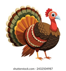Turkey Illustration on White Background