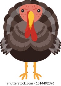 Turkey, illustration, vector on white background.
