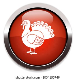turkey isolated vector icon