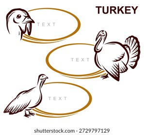 Türkei-Labels und Ikonensatz. Sammlungssymbole Truthahn. Vektorgrafik