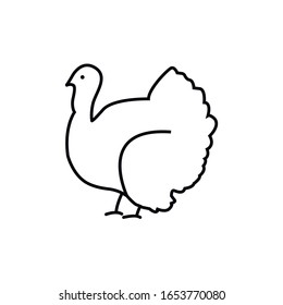 Turkey line icon. Symbol, logo illustration. Perfect vector graphics