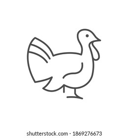 Turkey line outline icon or poultry concept