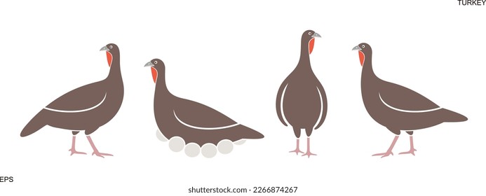 Turkey logo. Isolated turkey on white background. Bird