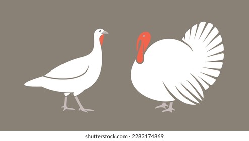 Turkey logo. Isolated turkey on white background. Bird