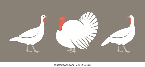 Turkey logo. Isolated turkey on white background. Bird