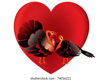 Turkey in love
