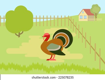 Turkey on the farm courtyard flat design cartoon vector wild animals birds. Flat zoo nature children collection.