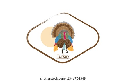 turkey on white background Farm animals collection. Icons. Logos and symbols. Turkey breeds. Vector Illustration.