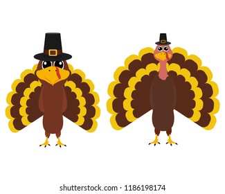 Turkey Pilgrimin on Thanksgiving Day