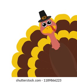 Turkey Pilgrimin on Thanksgiving Day
