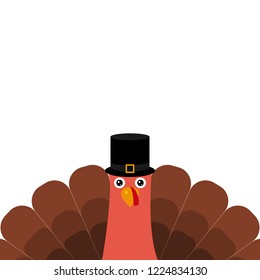Turkey Pilgrimin on Thanksgiving Day vector illustration