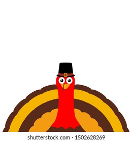 Turkey Pilgrimin on Thanksgiving Day