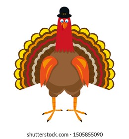 Turkey Pilgrimin on Thanksgiving Day