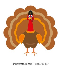Turkey Pilgrimin on Thanksgiving Day