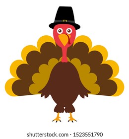 Turkey Pilgrimin on Thanksgiving Day on white background funny 