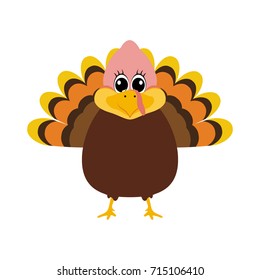Turkey Pilgrimin on Thanksgiving Day