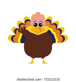 Turkey Pilgrimin on Thanksgiving Day