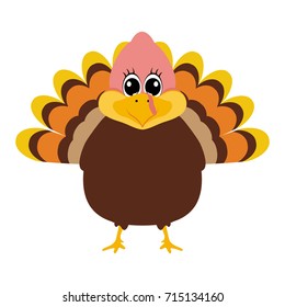 Turkey Pilgrimin on Thanksgiving Day