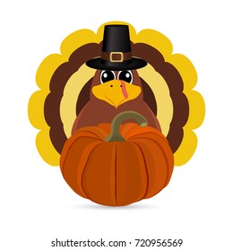 Turkey Pilgrimin on Thanksgiving Day